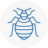 Bed Bug Extermination In Uttoxeter
